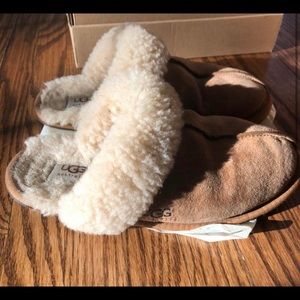 UGG scuffette slippers in chestnut.
